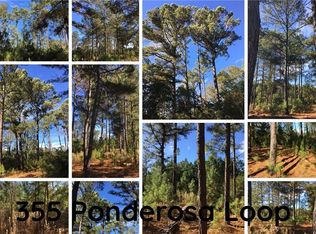 355 Ponderosa Loop, Paige, TX 78659