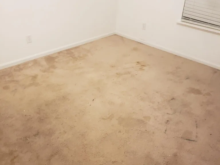 119 Wolfbay Cir — Photo 37
