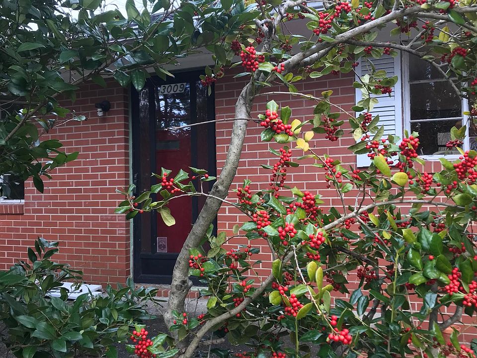 Front door, with small front deck