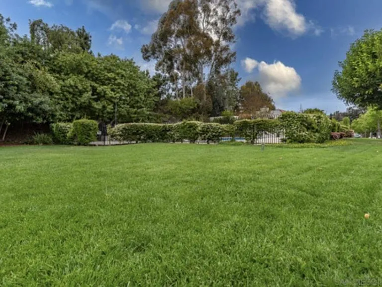 Community grass area