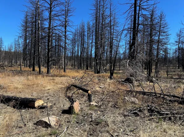 Cardinal Dr Lot 2100, Bonanza, OR 97623