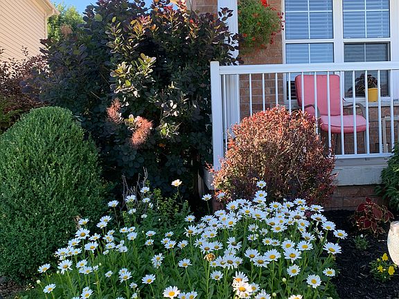 4th image of 38 Truax Cres