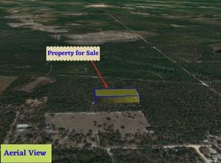 0 Fox Rd #61, Palatka, FL 32177