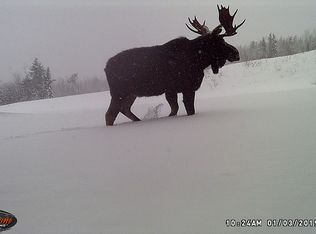 883 Grivois Rd, Grand Isle, ME 04746