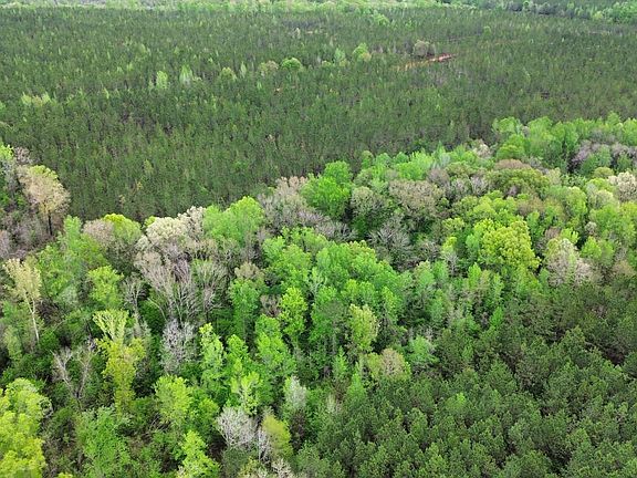 Dji Fly 20260406 113422 600 1775489885740 Photo Optimized