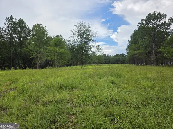 0 Cv Mosley Blvd, Lyons, GA 30436