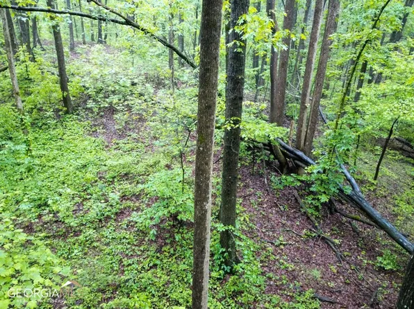 6874 County Line Rd, Lula, GA 30554