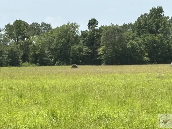 4221 W Fm 114, Avery, TX 75554