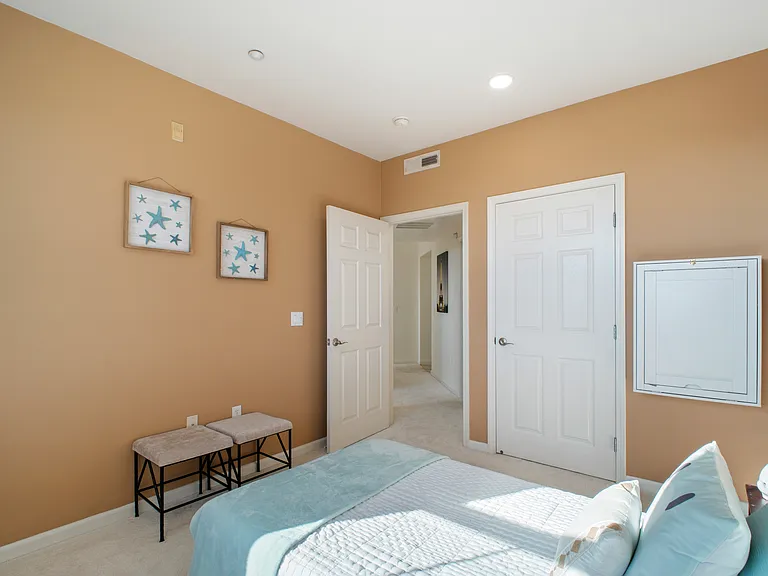 49002 Cinnamon Fern Cmn #402 — Photo 20