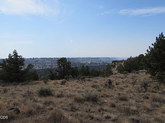 3rd image of SW Park Ln #203