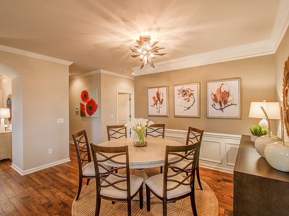 Model Representation