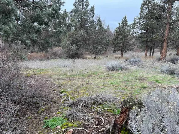 9-1 Brookside Rd Lot 144, Weed, CA 96094