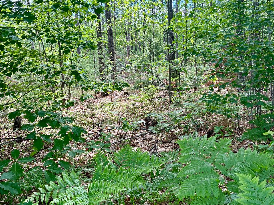 1st image of Lot 16 (1) Whittier Road