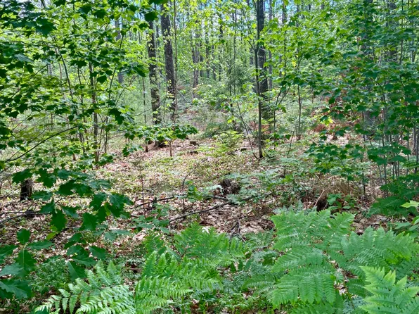 Lot 16 (1) Whittier Road, Farmington, ME 04938