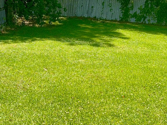 5th image of 2617 Roxanne Dr
