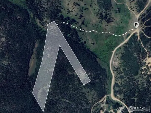 0 County Road 128-J, Nederland, CO 80466