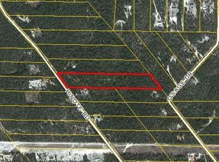Hinote Rd, Mossy Head, FL 32434