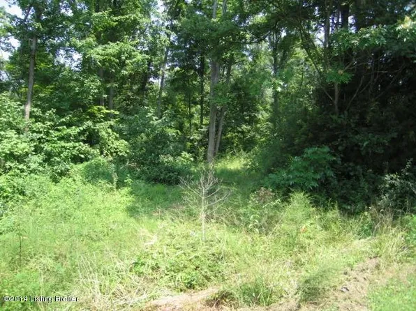 547 Knobview Dr, Lebanon Junction, KY 40150