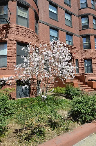 408 Marlborough St #53 Photo 1