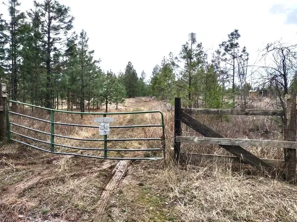 Xx Lyons Hill Rd, Springdale, WA 99173