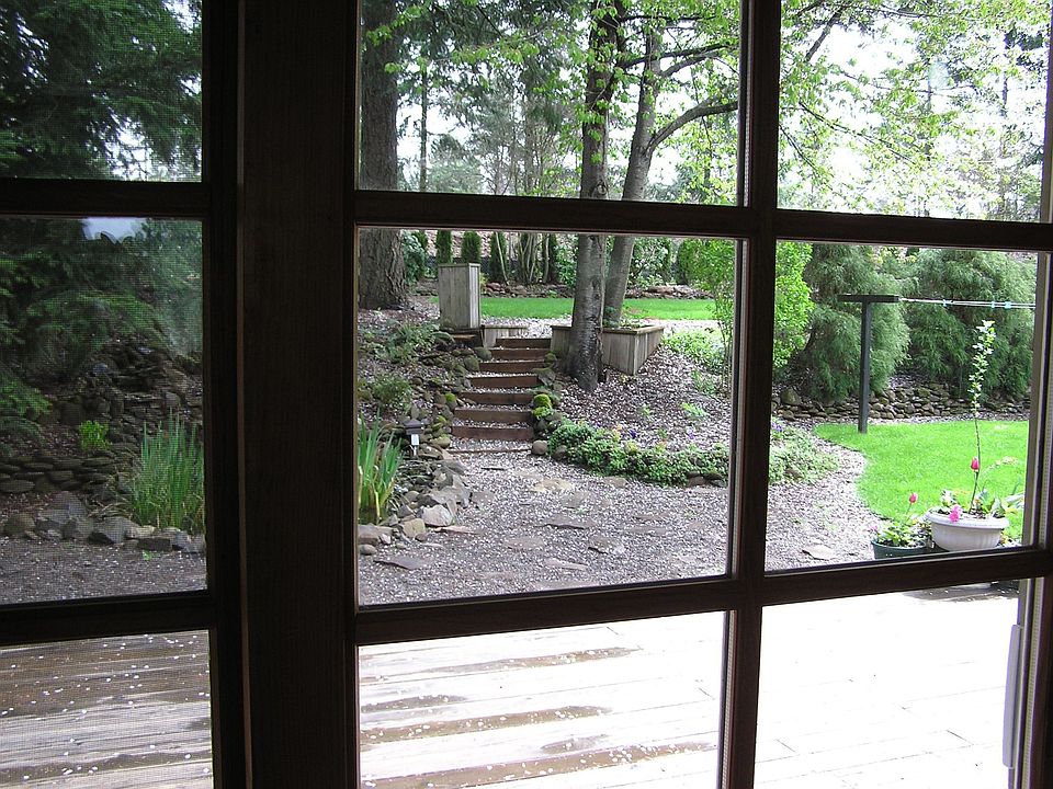 beautiful wooded yard
