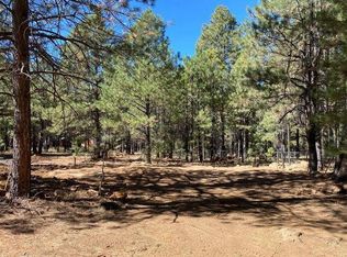 1848 Morning Star Ct, Forest Lakes, AZ 85931