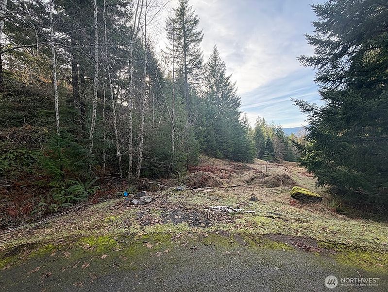 4th image of 115 Ridge Lane