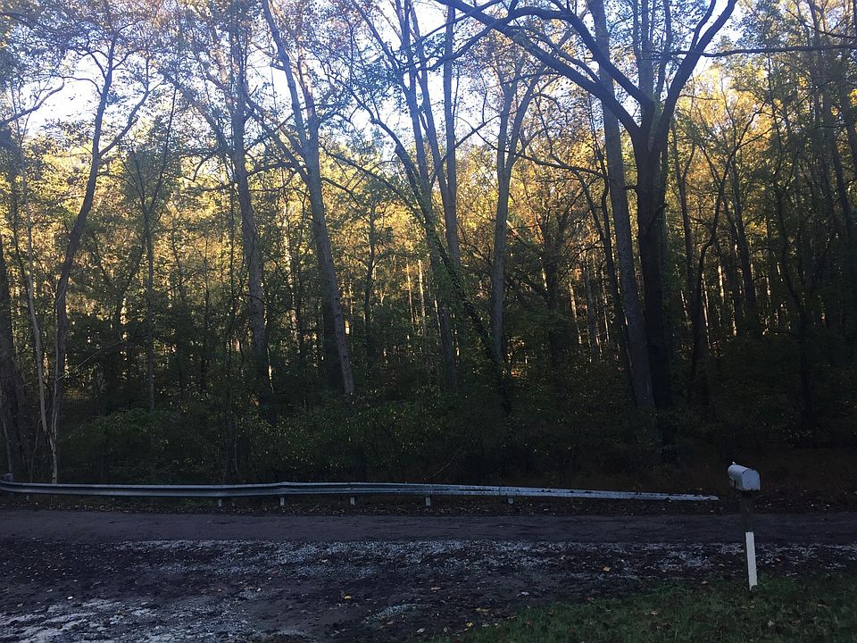 View of Park