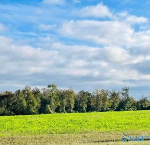 418 Scenic Dr, Section, AL, 35771