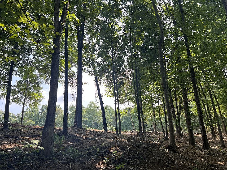 2nd image of 7 White Springs Rd