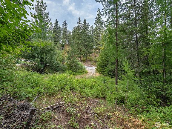 3rd image of 6409 Forest Ridge Drive
