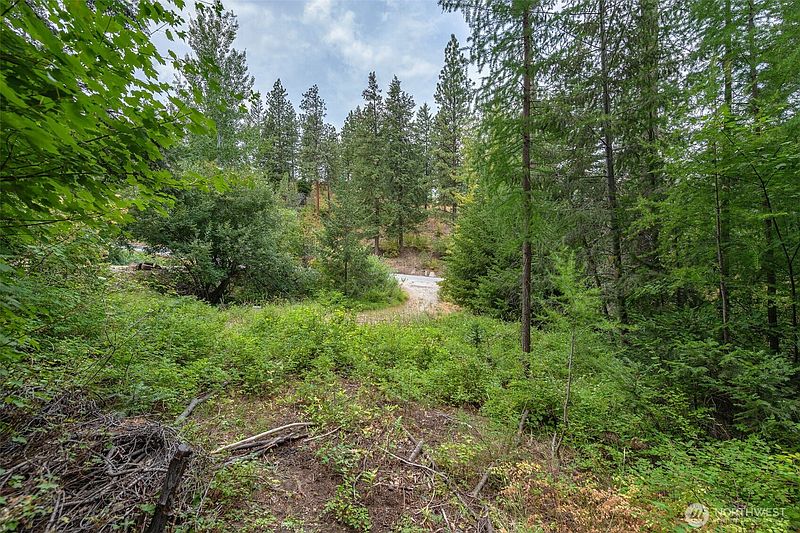 3rd image of 6409 Forest Ridge Drive