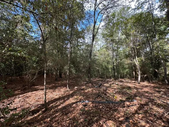 467 Jape Massingill Ln, Diboll, TX 75941