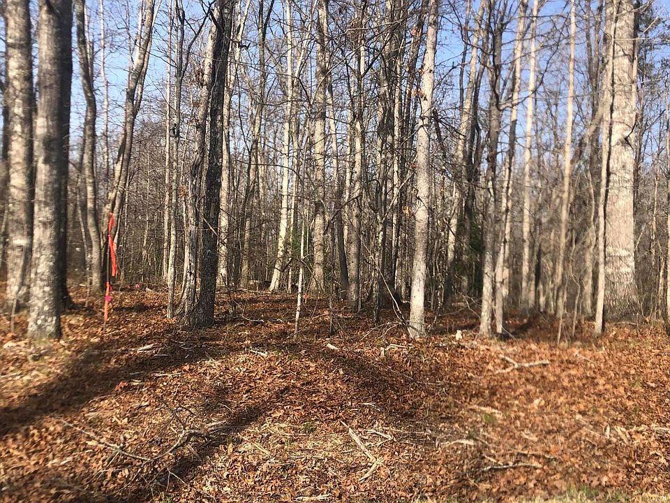 2nd image of 1115 Geronimo Ln