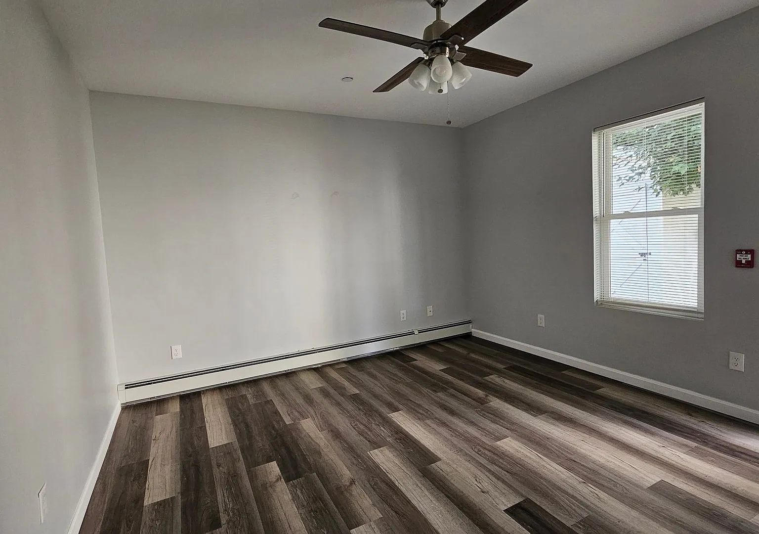 302 Cartier St — Photo 4