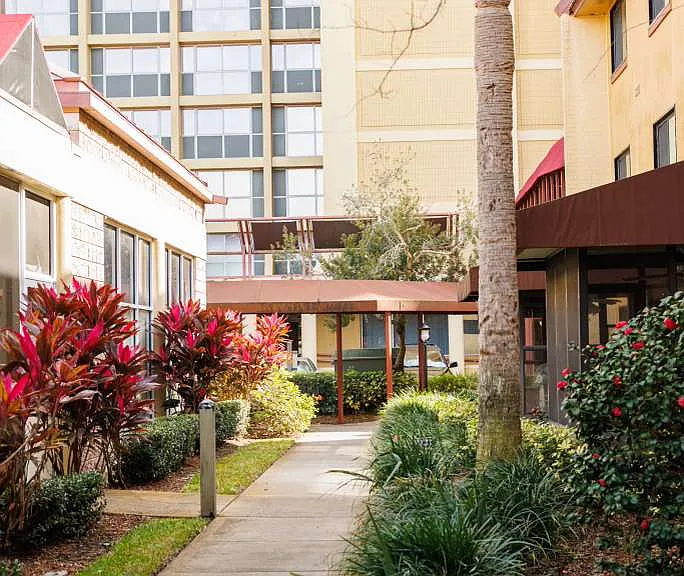 Blue Palms at Fletcher — Photo 1