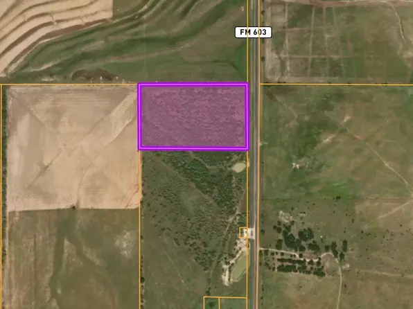 1 Fm 603, Clyde, TX 79510