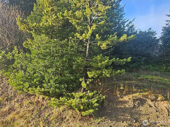 2nd image of 276 S Wynoochee Drive SW