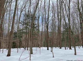 Barley Rd, Pine Hill, NY 12465