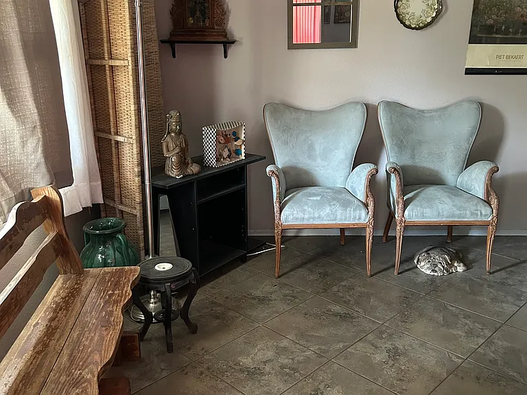 Living room. Note disco ball!