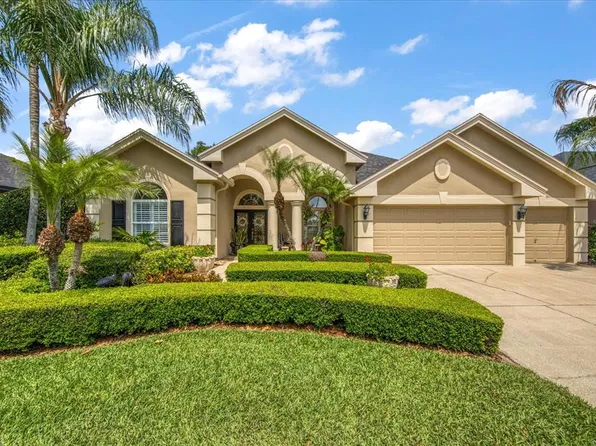23313 Gracewood Cir, Land O Lakes, FL 34639
