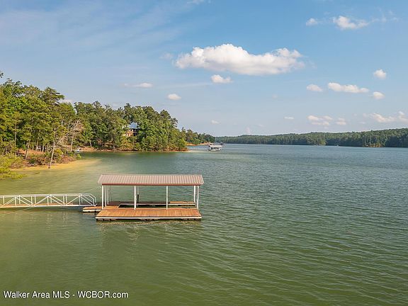 Image 5: Dock