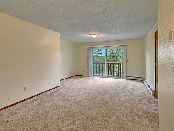 Brighton Woods Apartments - Living Area