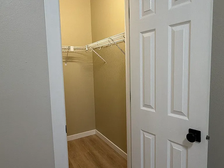Downstairs bedroom walk-in closet