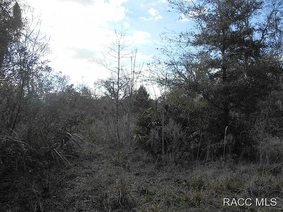 2nd image of 8279 W Oak St