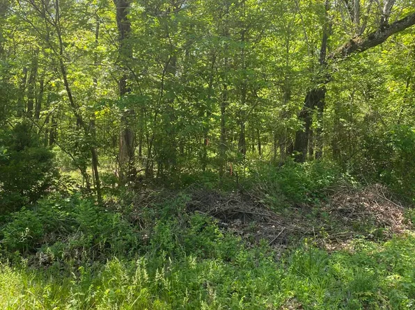 6659 N Highway Hh Lot 1, Willard, MO 65781
