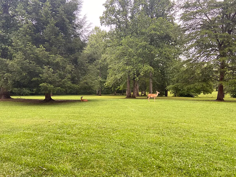 162 Hilltop Ct — Photo 34