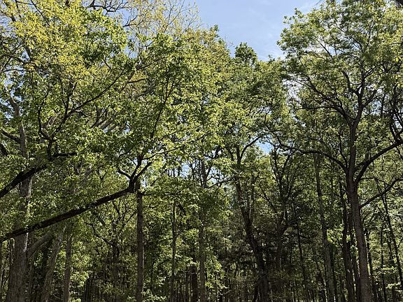 5th image of 0 Millersburg Rd