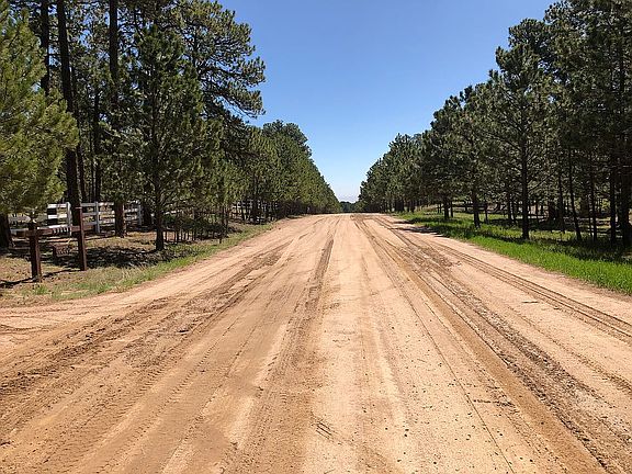 Looking East