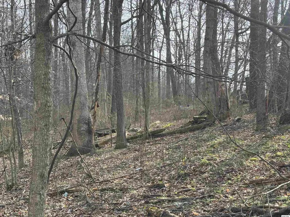 17951 E Shady Ln, Butler, OH 44822